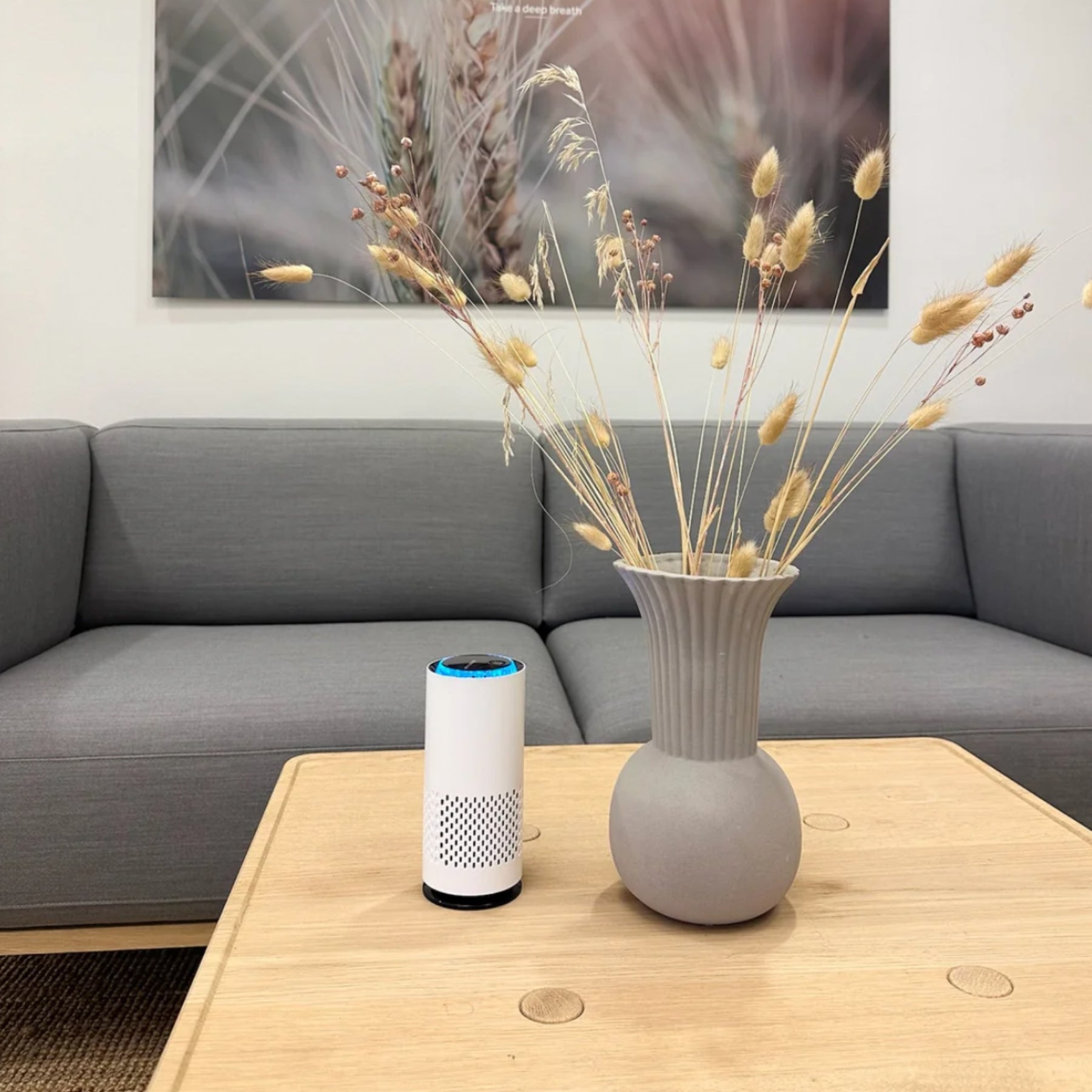 Smart Home